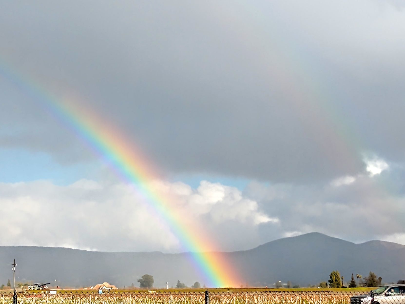 Rainbows in February